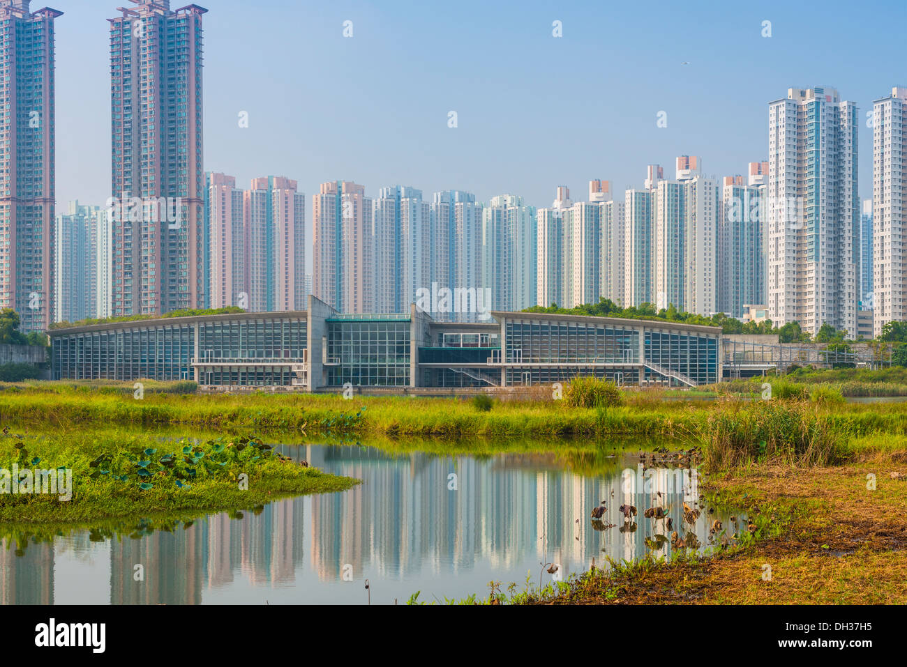 Hong Kong residential high rise cityscape viewed from Wetland Park. Stock Photo