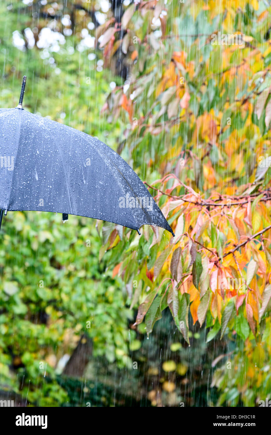 a detail of black umbrella in the rain Stock Photo Alamy