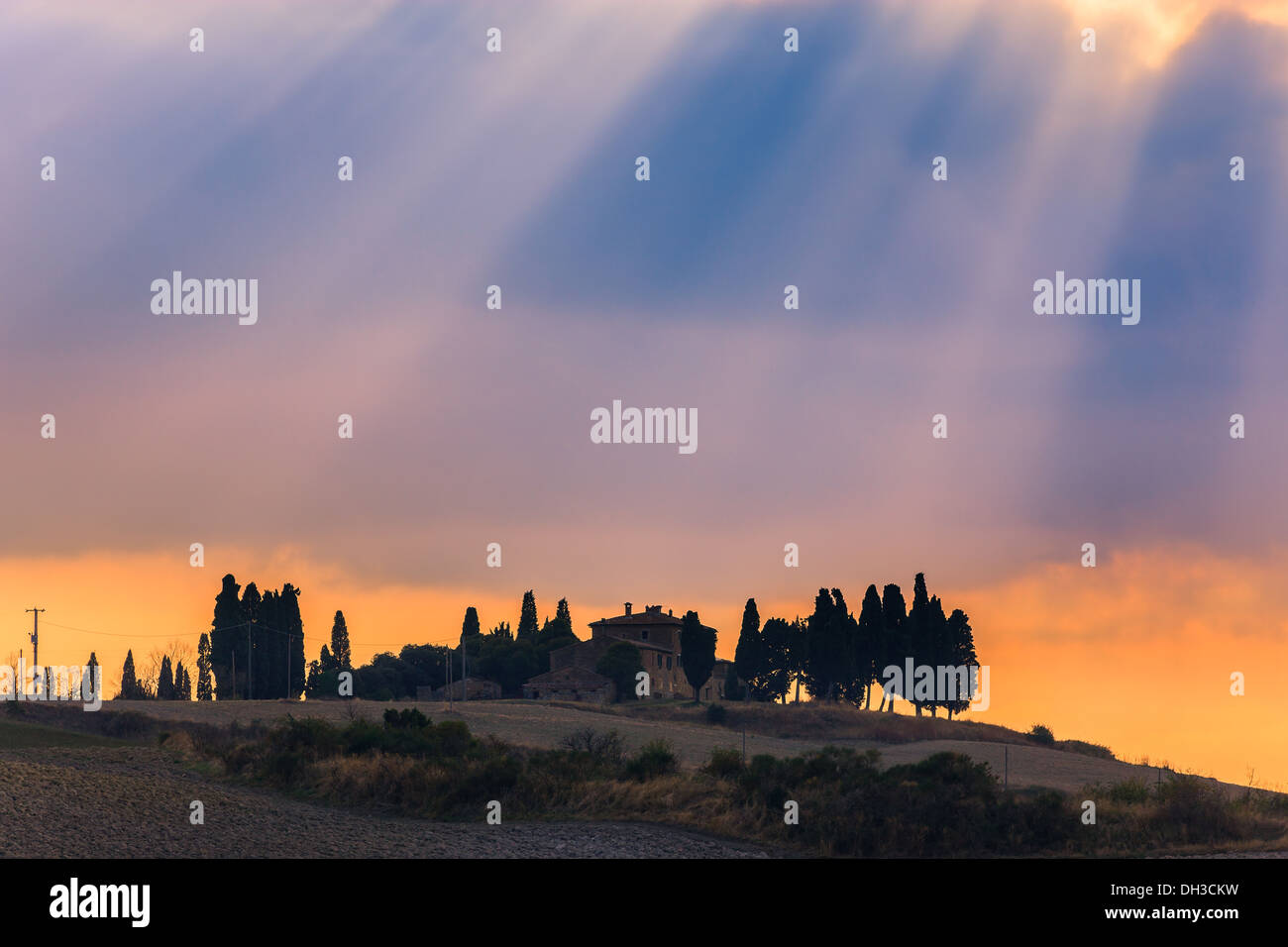 House with the famous Cypress trees in the heart of the Tuscany, near ...