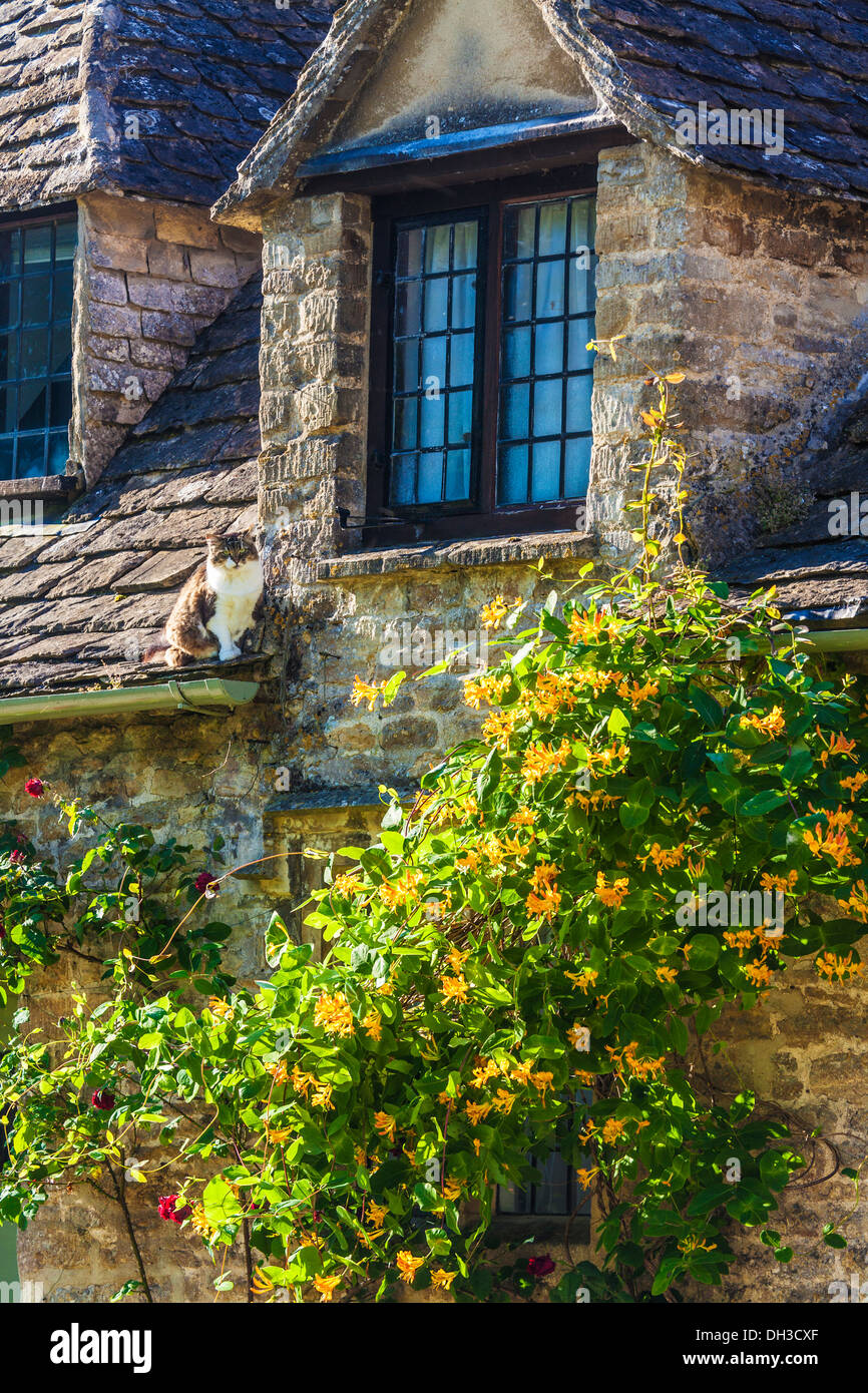 A cat sits on the roof of one of the famous weavers' cottages in Arlington Row, Bibury. Stock Photo