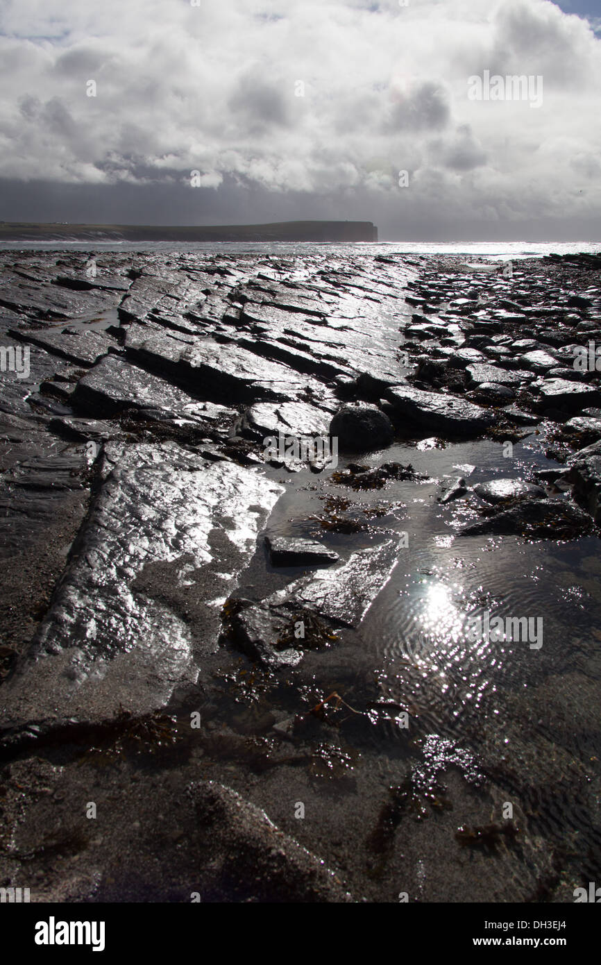 Islands of Orkney, Scotland. Silhouetted view of Birsay Bay at low tide ...