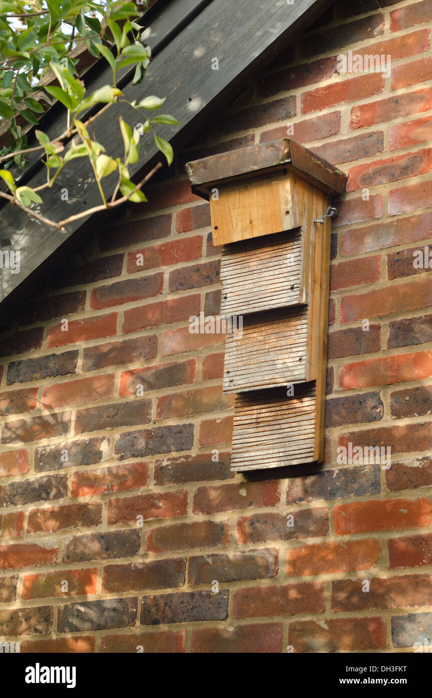 nest box for British bats a protected species in a good flight path and near lakes abundant in insects with landing pad sections Stock Photo