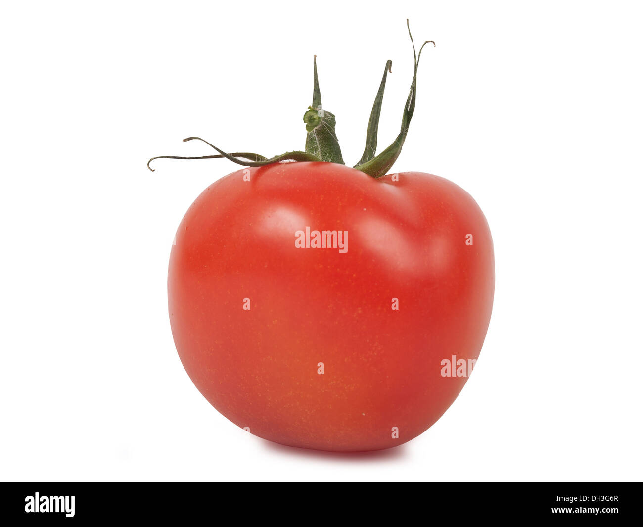 fresh red tomato isolated on white background Stock Photo