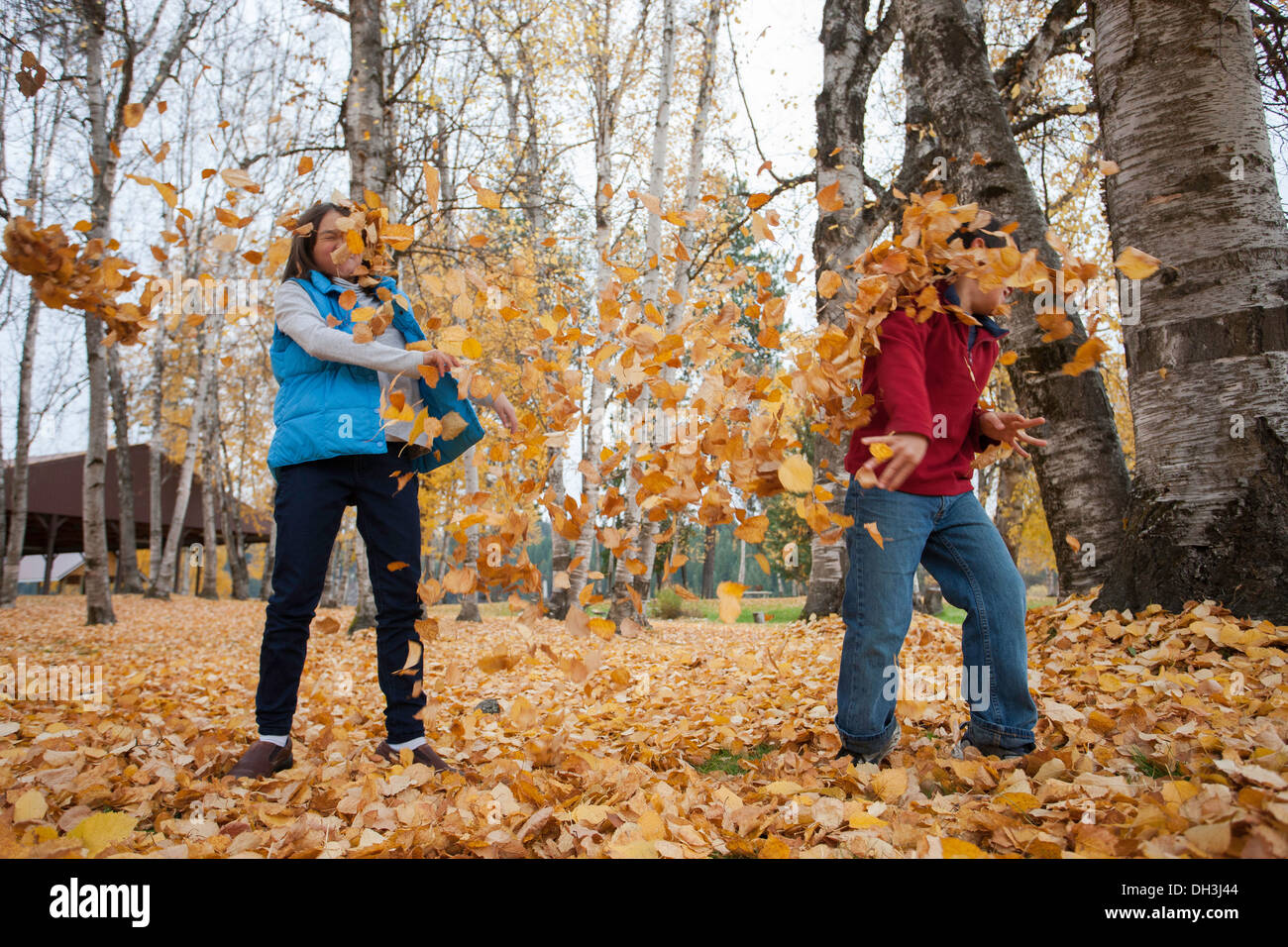 Covered in leaves Stock Photo Alamy