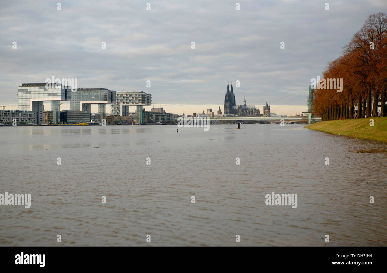 Flood, January 2011, city view, Cologne Cathedral, Kranhaeuser office buildings, Cologne, North Rhine-Westphalia Stock Photo