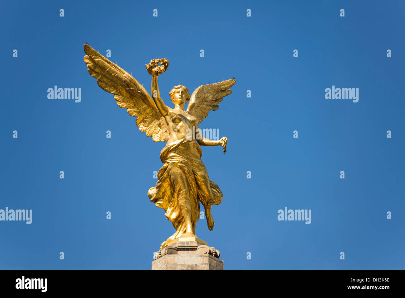 Paseo De La Reforma El Ángel, Monumento A La Independencia De México En La  Ciudad De México. Fotos, retratos, imágenes y fotografía de archivo libres  de derecho. Image 114452134