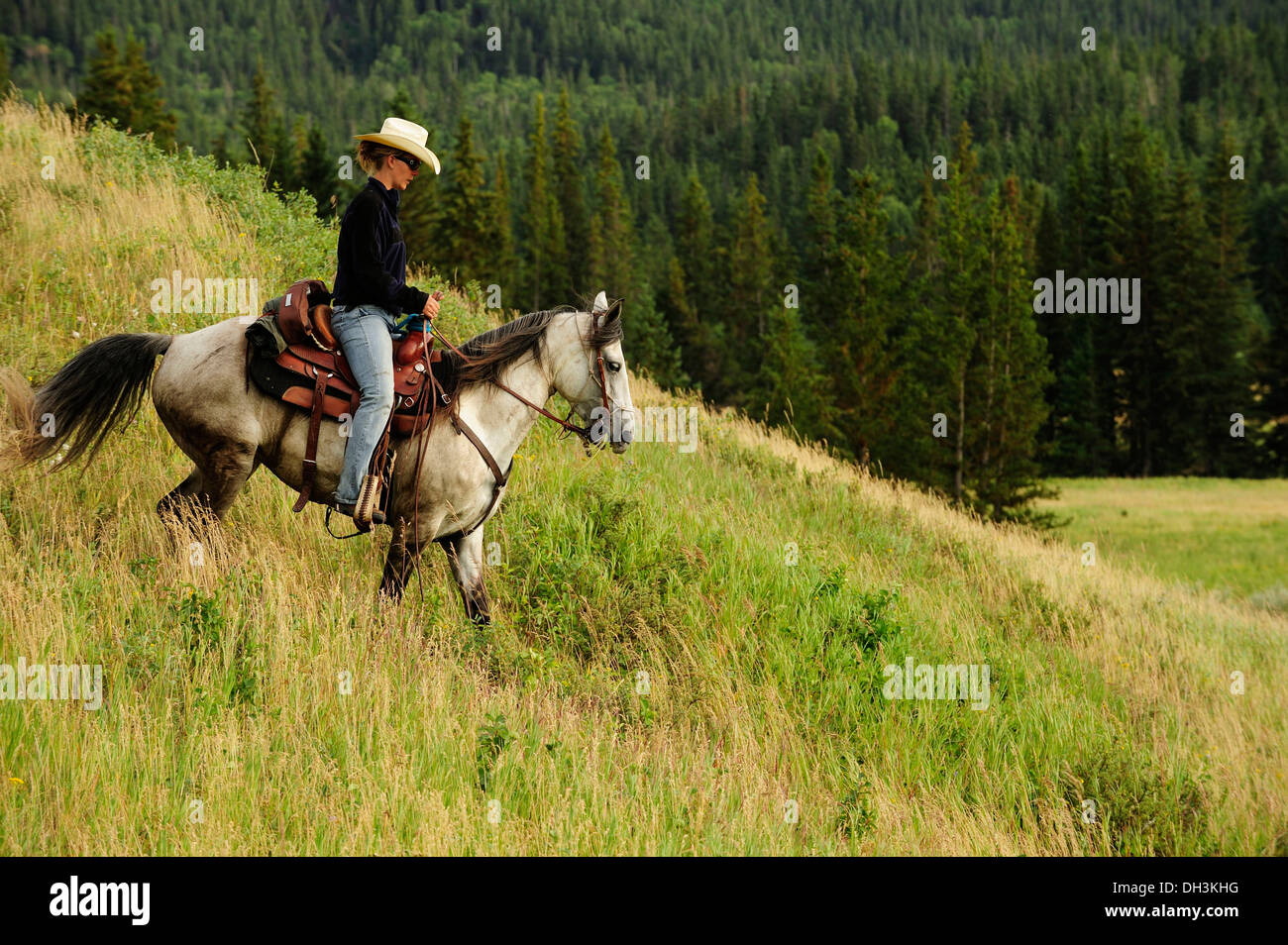 Cowgirl riding a gray horse through the prairie, Saskatchewan Province, Canada Stock Photo