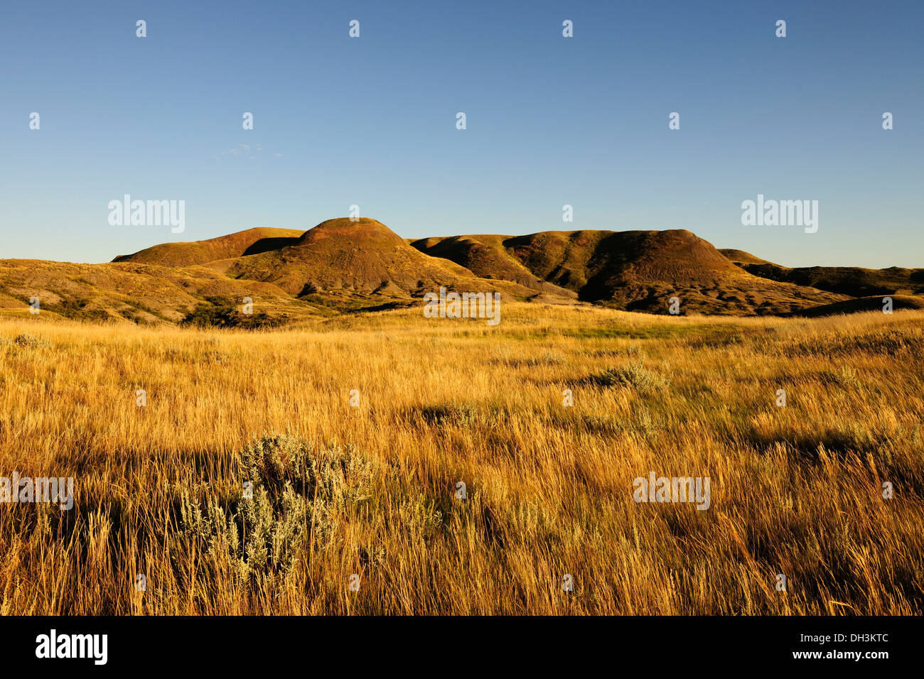 Prairie landscape in the evening light, Grasslands Nationalpark, Saskatchewan Province, Canada Stock Photo