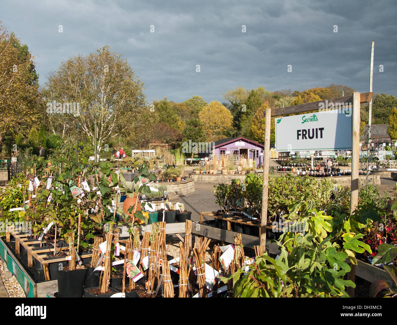 Milford, Surrey, UK. 29th October 2013. FA Secrett has announced that