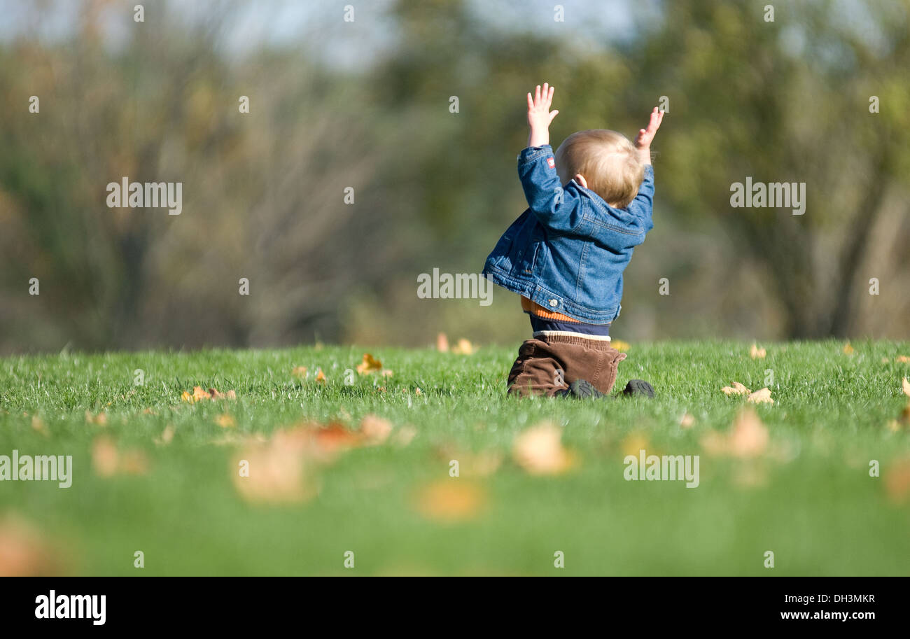 Toddler boy in a denim jacket expressing joy by throwing his arms up in the air on a warm autumn