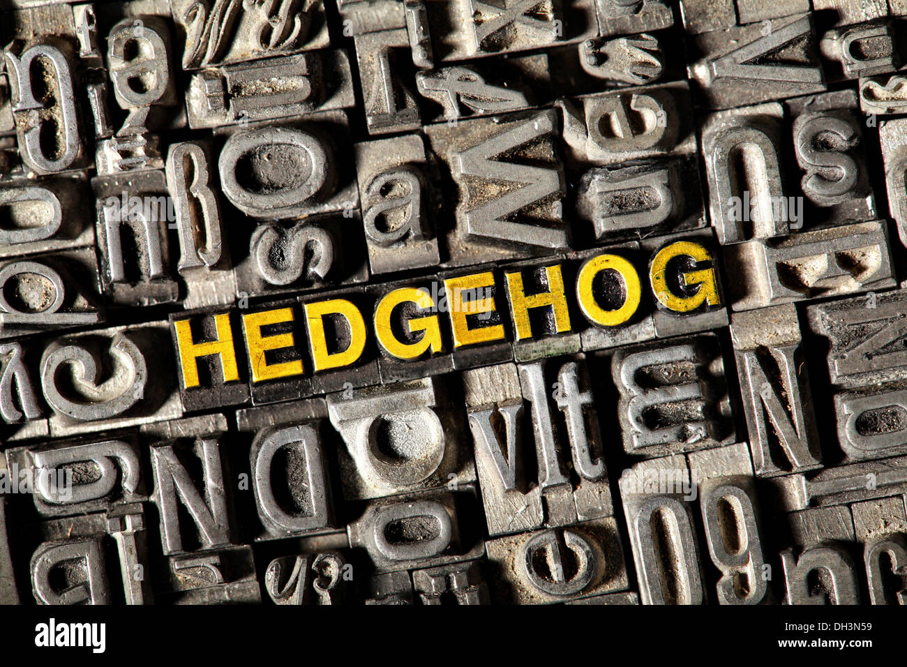 Old lead letters forming the word 'HEDGEHOG' Stock Photo