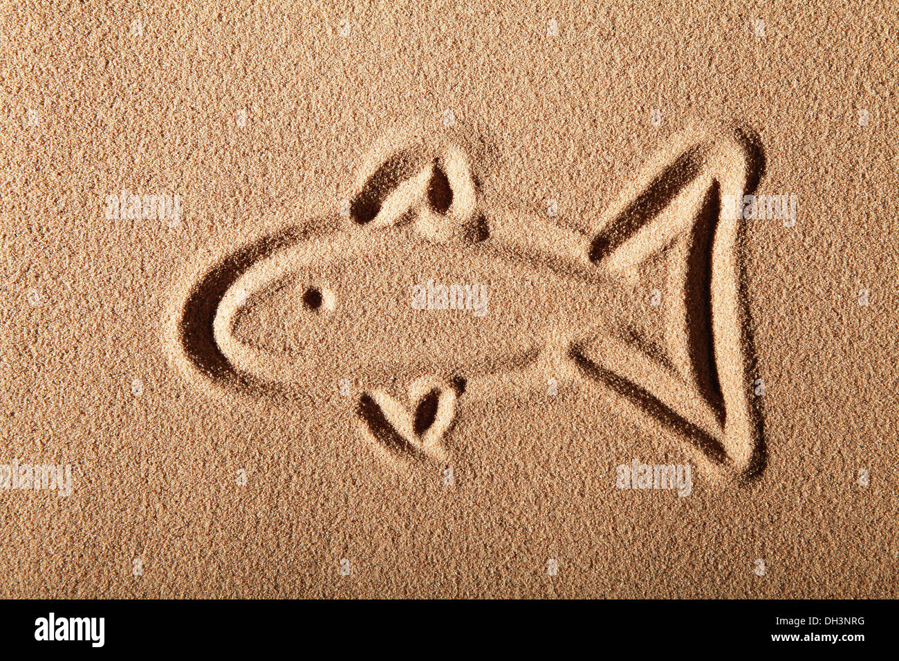 Fish, painted in sand Stock Photo Alamy