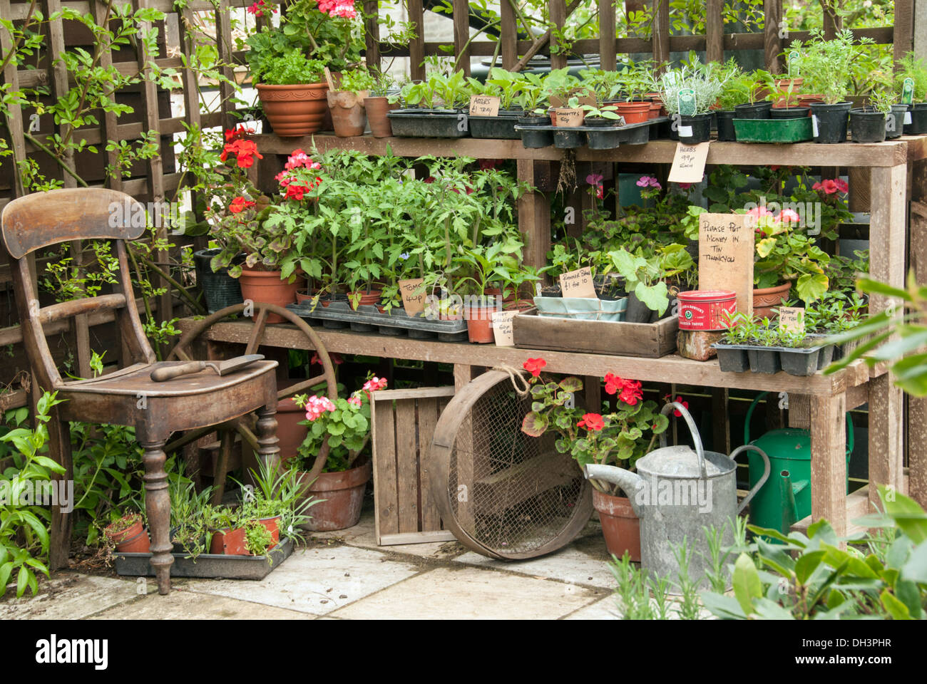 Garden plant sales Stock Photo Alamy