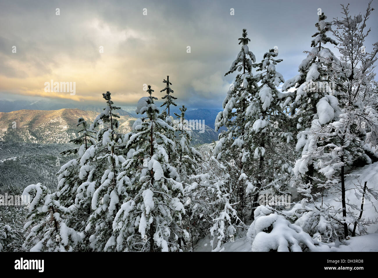 Winter on the mountain from Macedonia - Europe Stock Photo