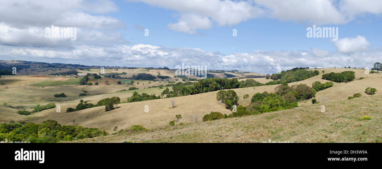 Farms below the Dorrigo Plateau, NSW Australia Stock Photo