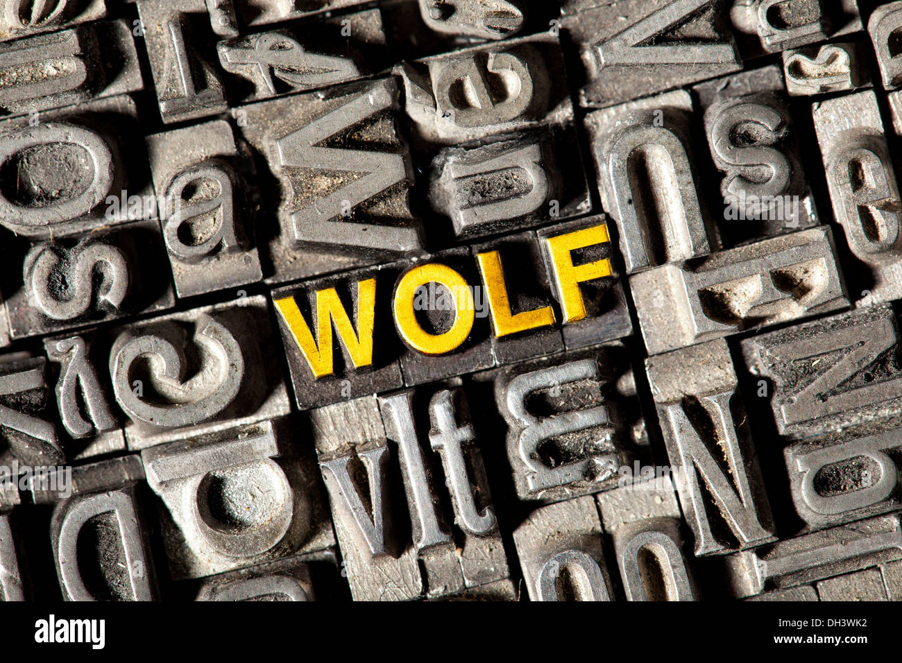 Old lead letters forming the word 'wolf' Stock Photo