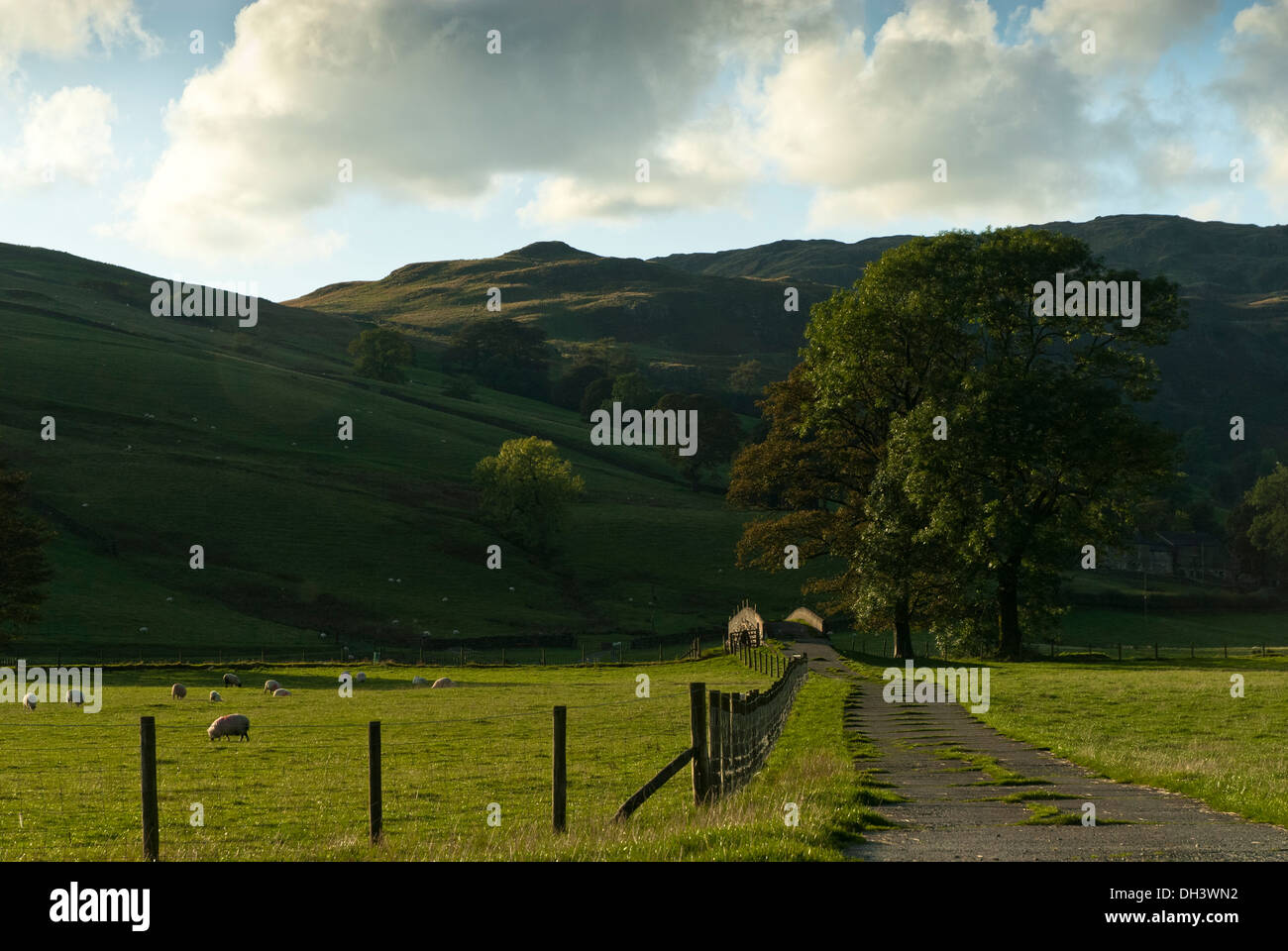 Cumbrian countryside farmland in evening sunlight Stock Photo