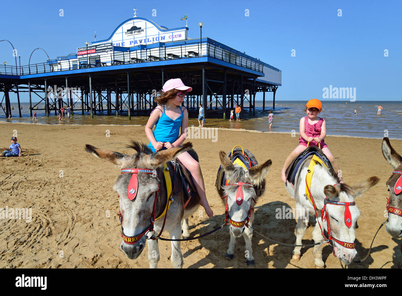 Cleethorpes Donkey High Resolution Stock Photography and Images Alamy