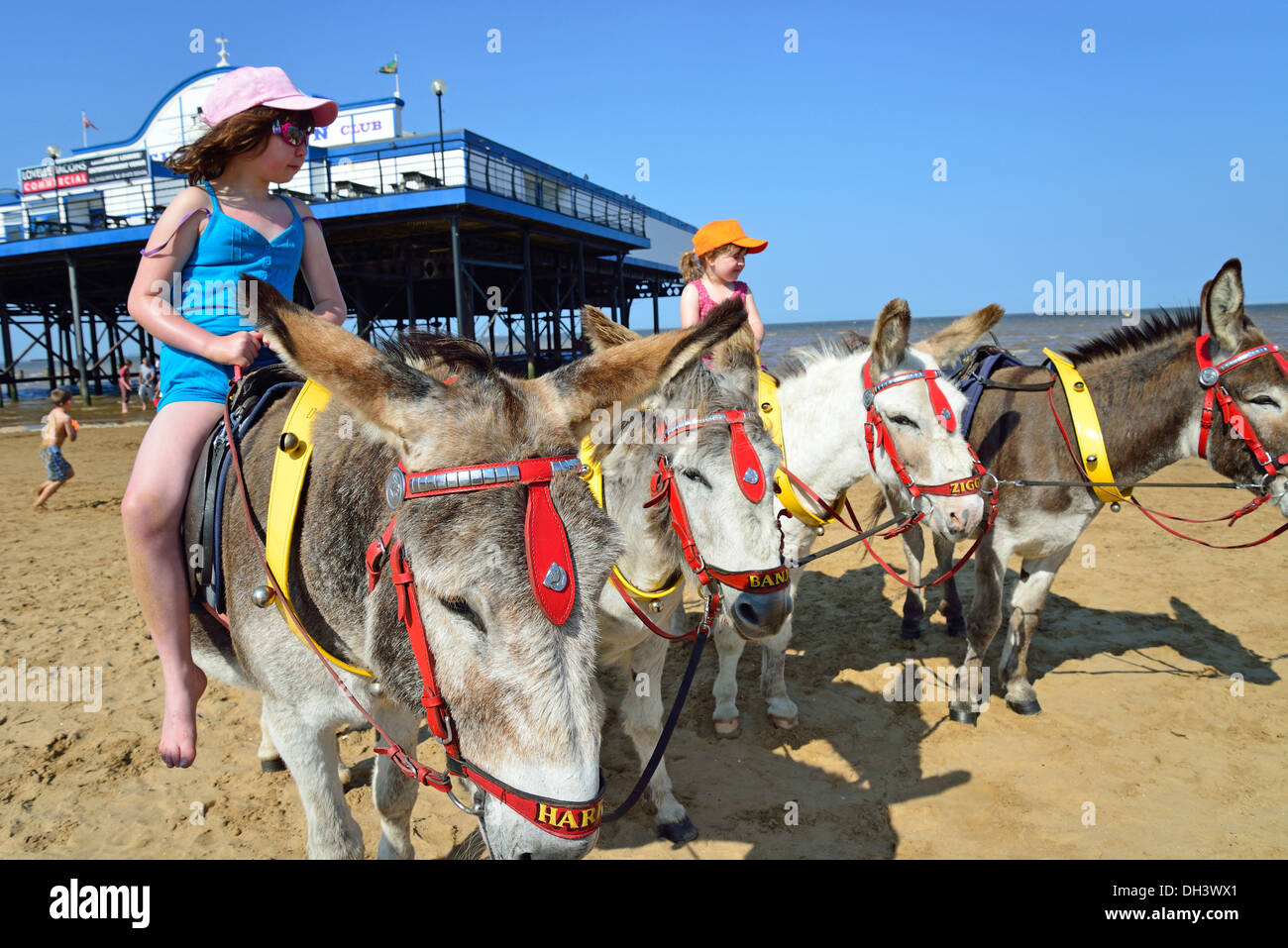 Children's donkey rides on Cleethorpes Beach, Cleethorpes, Lincolnshire, England, United Kingdom