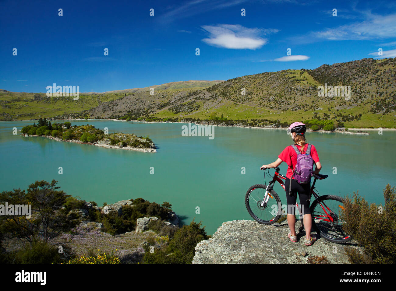 Mountain biker above Lake Roxburgh on Roxburgh Cycle and Walking