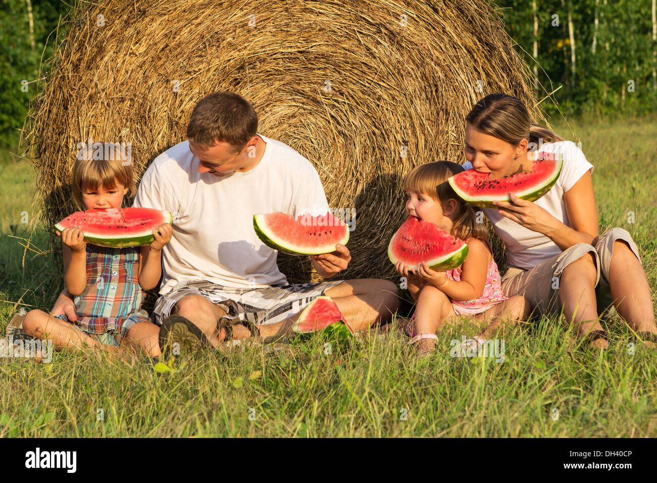 Family on picnic in the field Stock Photo Alamy