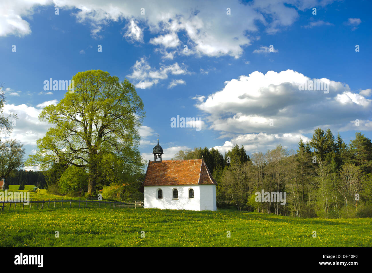 chapel and tree in Bavaria, Germany Stock Photo