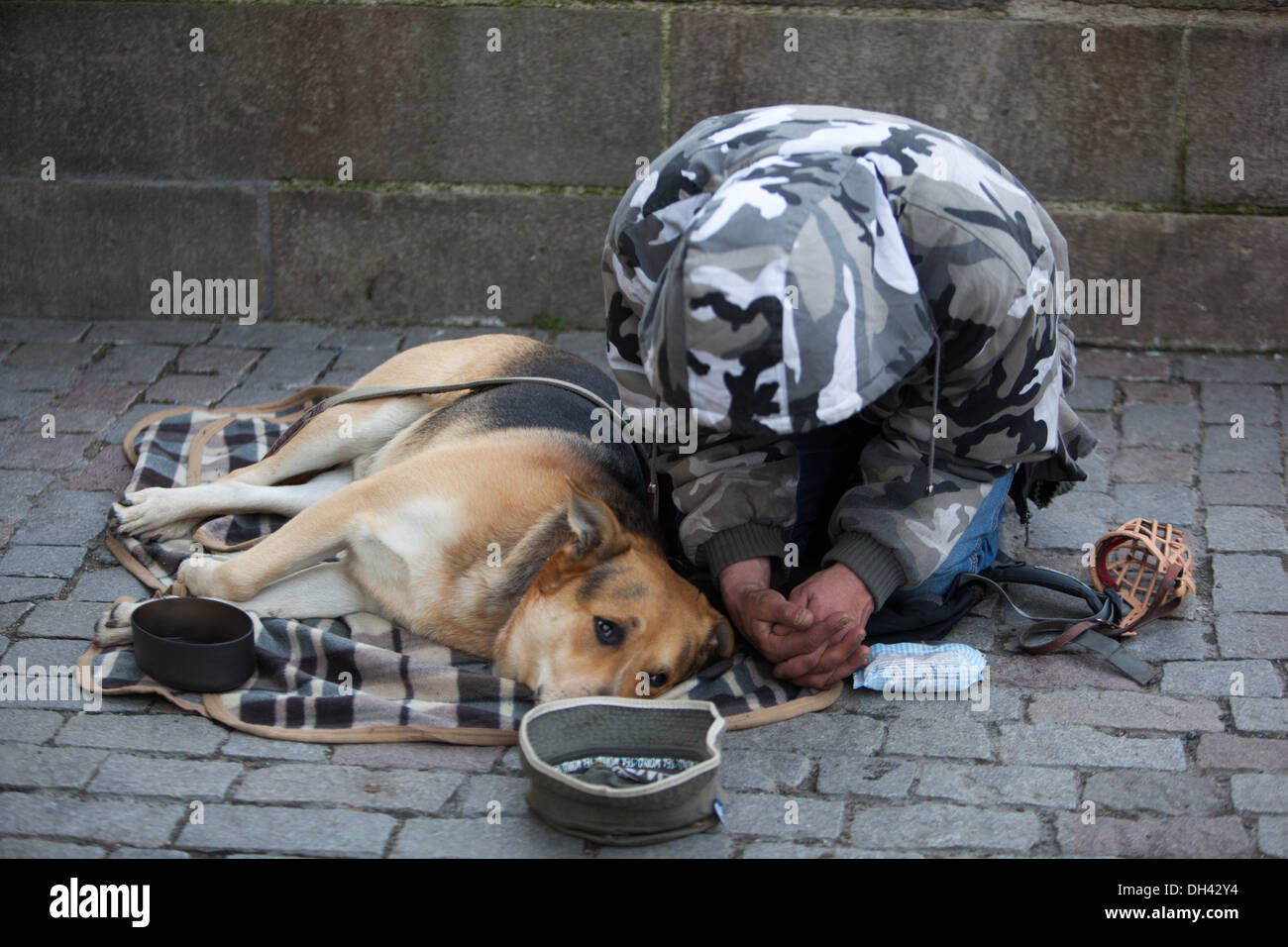 Beggar with dog on the street of Prague, Charles Bridge, Czech Republic Stock Photo