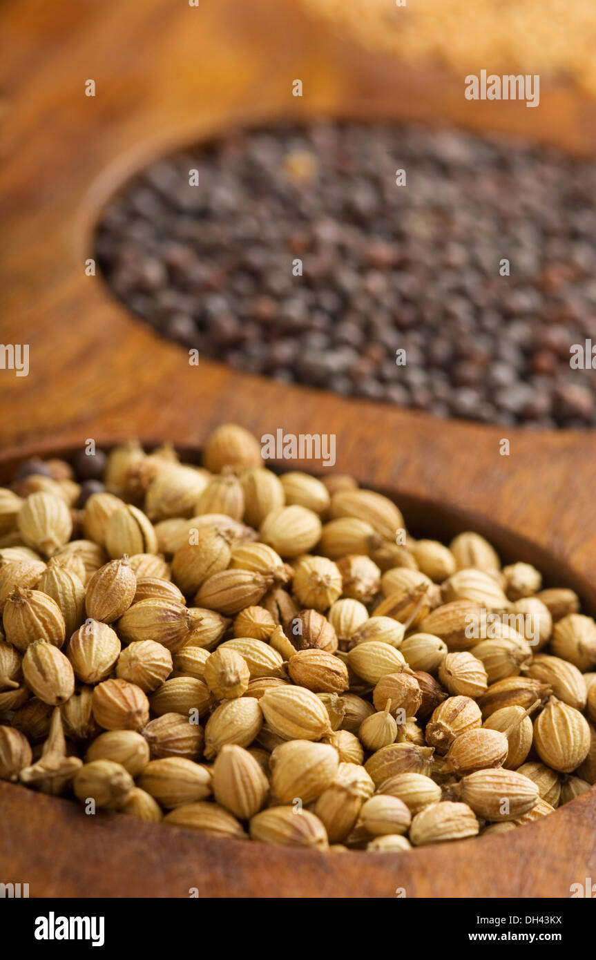Seeds india variety hires stock photography and images Alamy