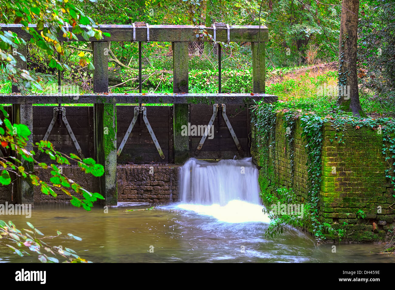 Wooden dam, small waterfall and forest stream at Racconigi park in