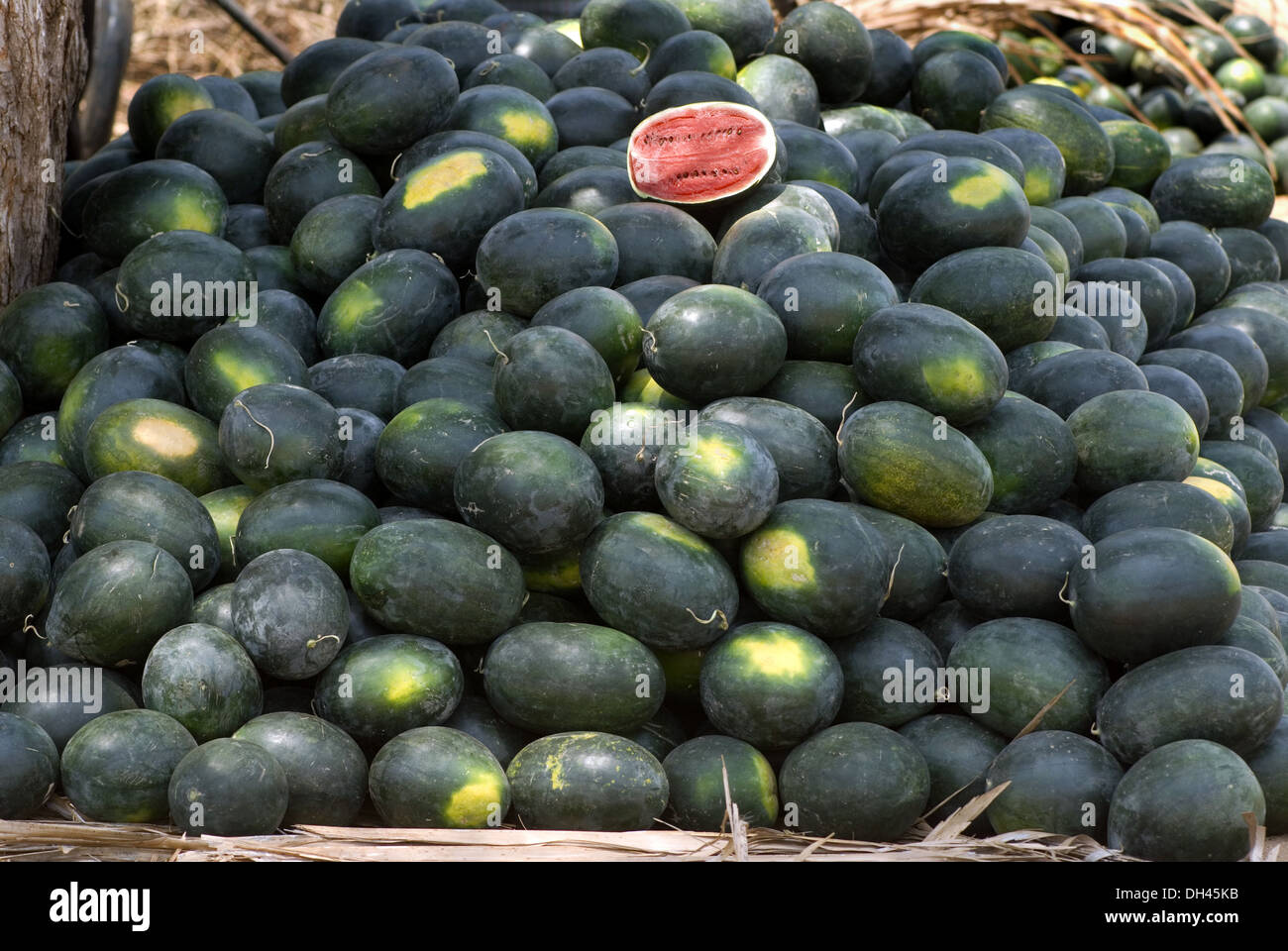 183737 hires stock photography and images Alamy