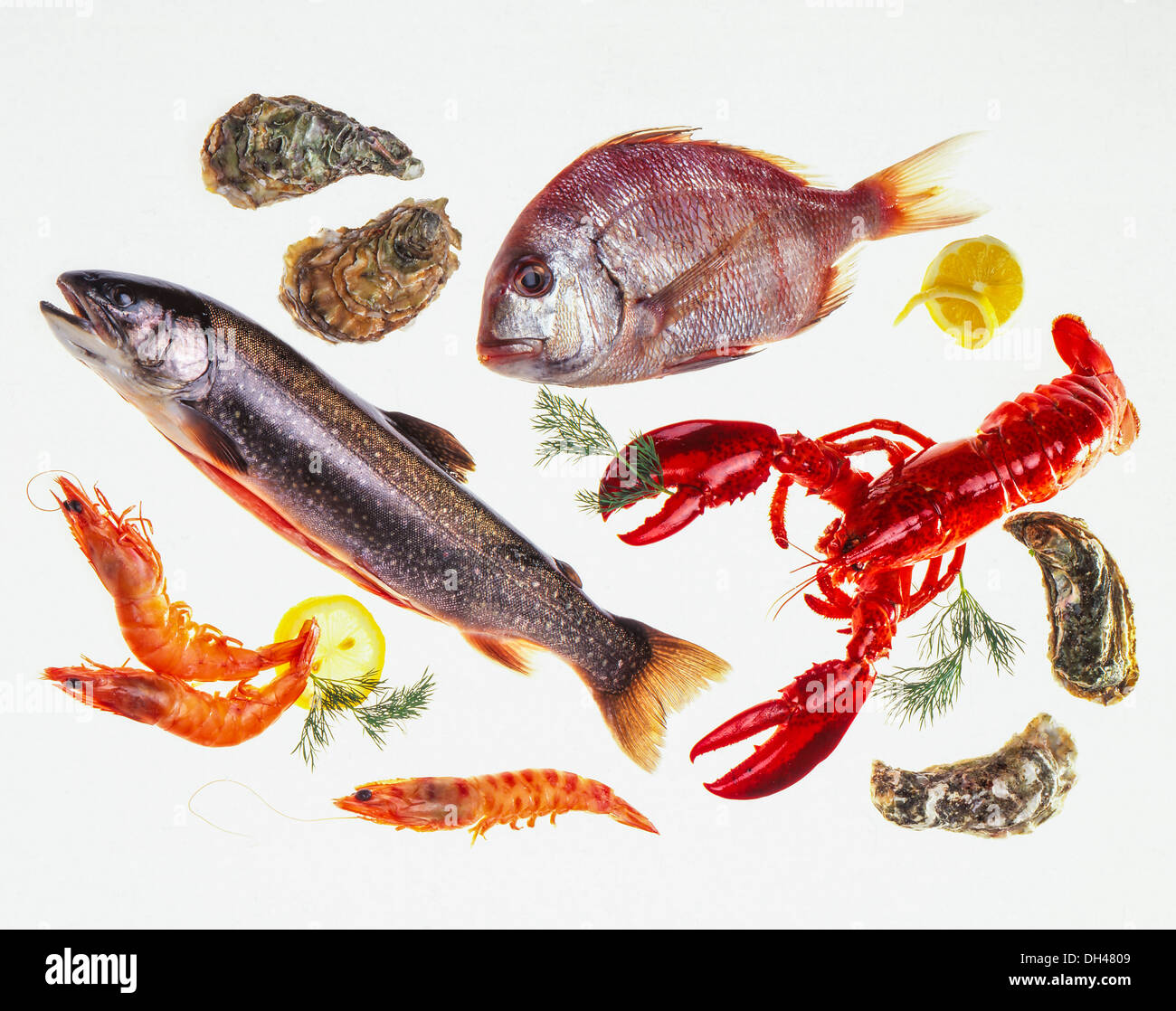 Fish and Seafood Stock Photo Alamy
