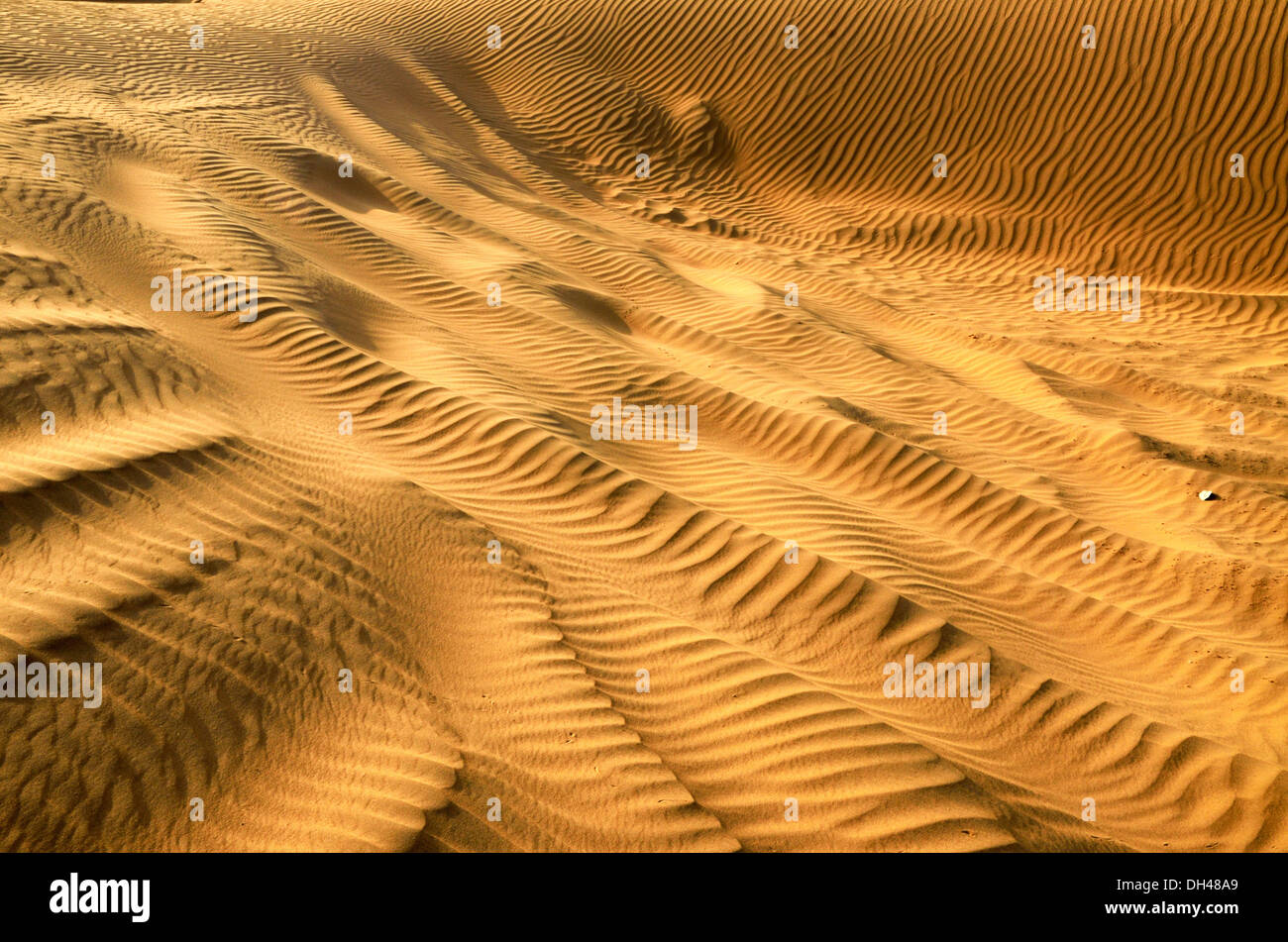 Diagonal curve and ripples on desert sand dunes Rajasthan India Asia Stock Photo