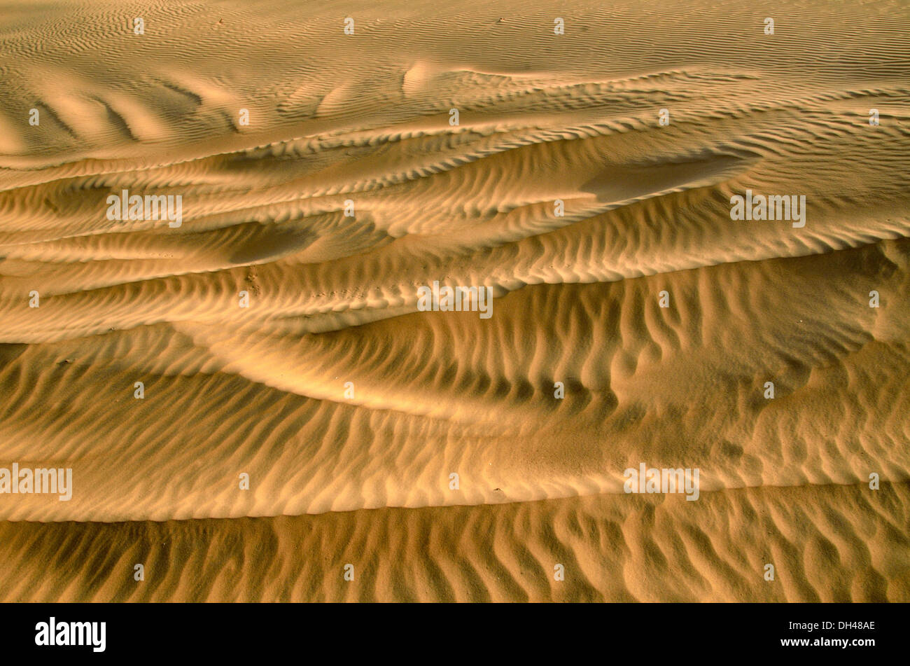 Dessert Ripples Ripples on desert sand dunes Rajasthan India Asia Stock Photo - Alamy