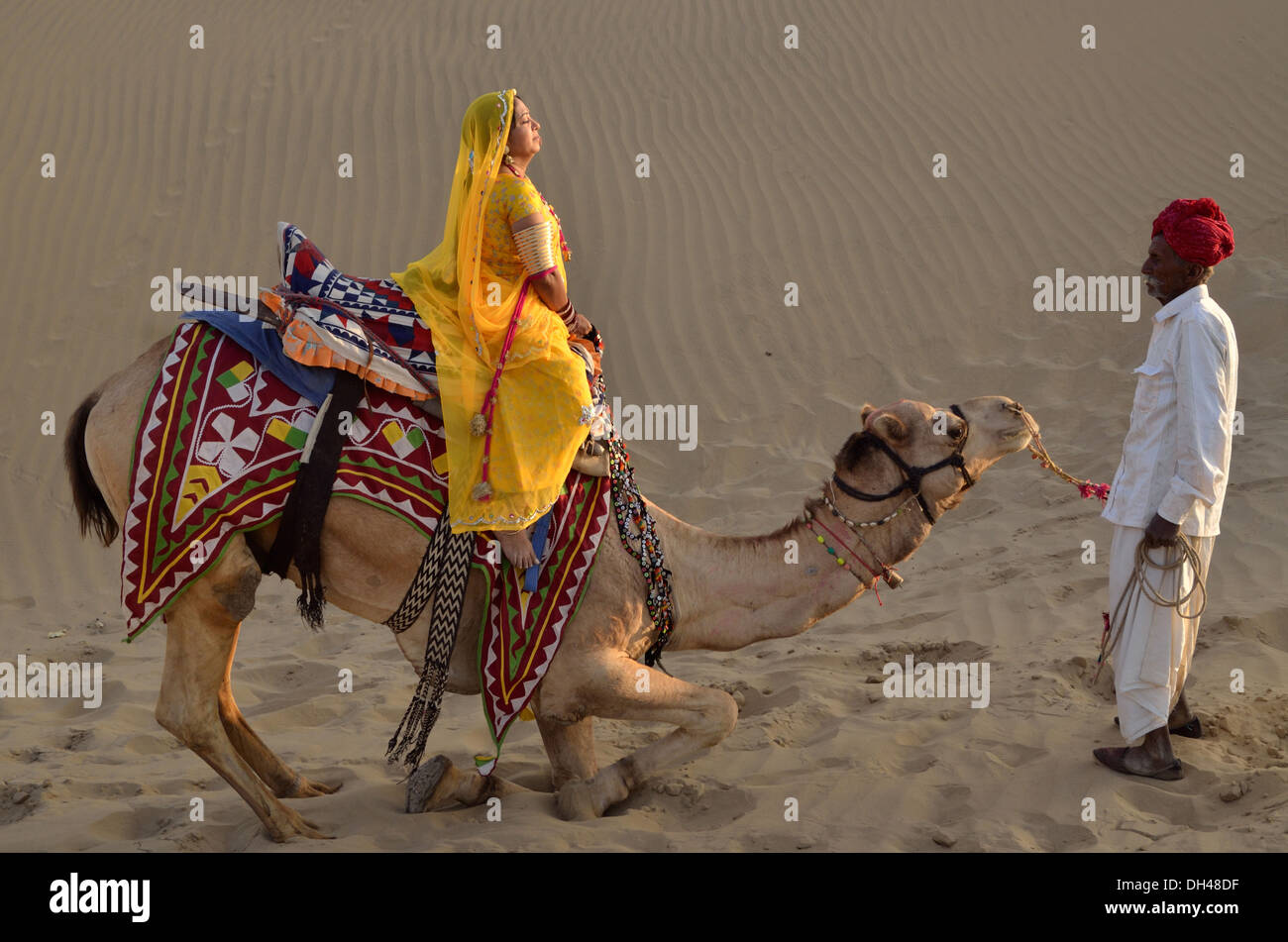 Camel sitting down hi-res stock photography and images - Alamy