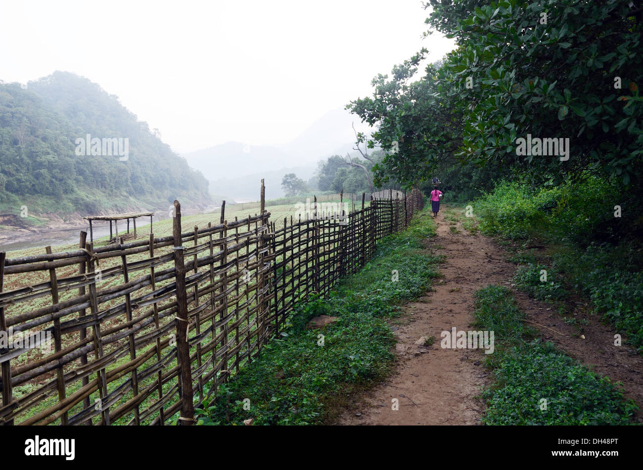 bamboo fence path Papi Hills Rajahmundry Andhra Pradesh India asia ...