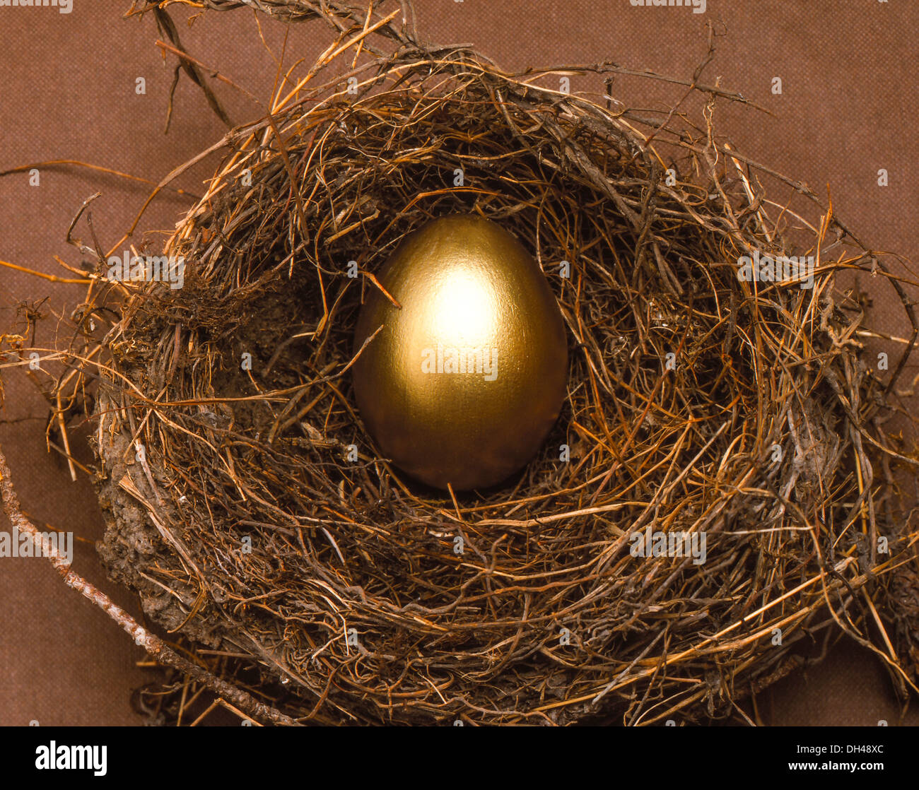 Golden egg in a nest Stock Photo - Alamy