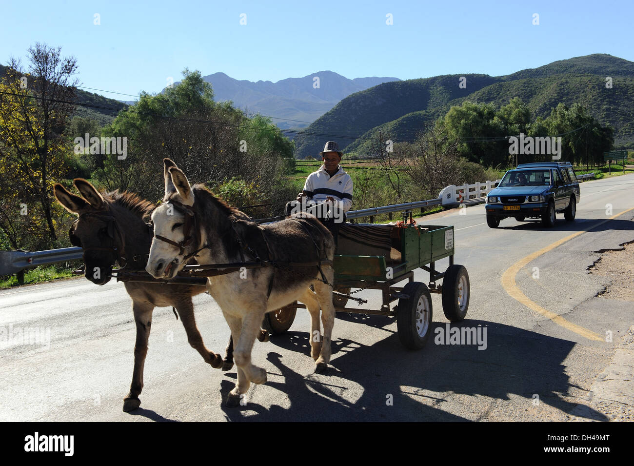 donkey cart and car on road in south africa Stock Photo