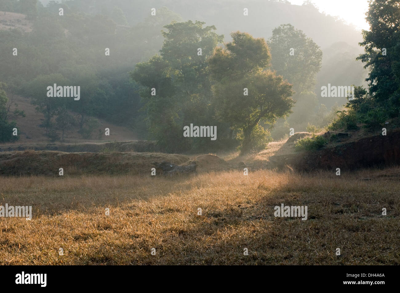 Landscape sunlight sunrays , Bhandardara Shendi Maharashtra India Asia Stock Photo