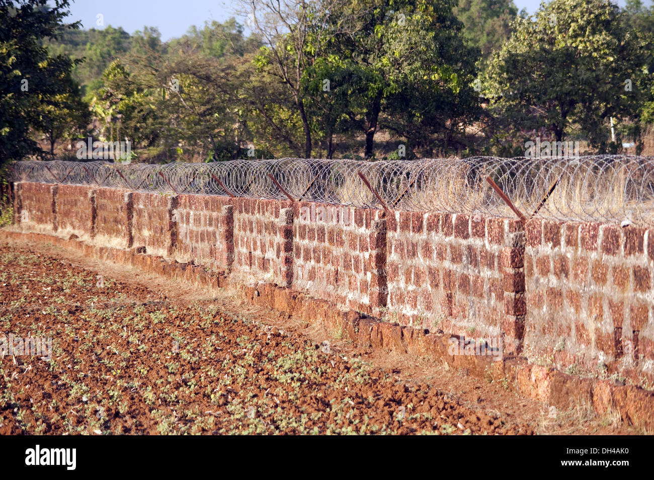 Compound brick wall and metal barbed wire fence Maharashtra India Asia Stock Photo