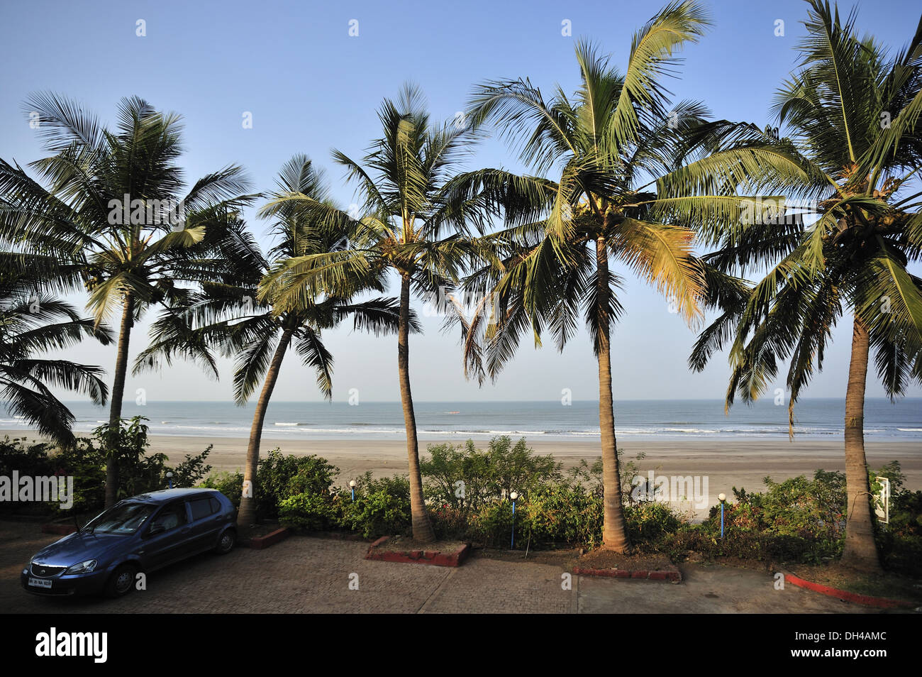 Seascape with palm trees at karde ratnagiri Maharashtra India Asia Stock Photo