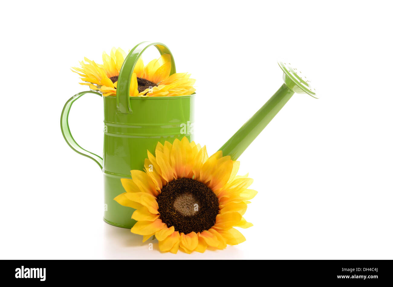 birds and the bees nature lover summer decor rustic decor charming watering can sunflower lover Sunflower Chickadee watering can