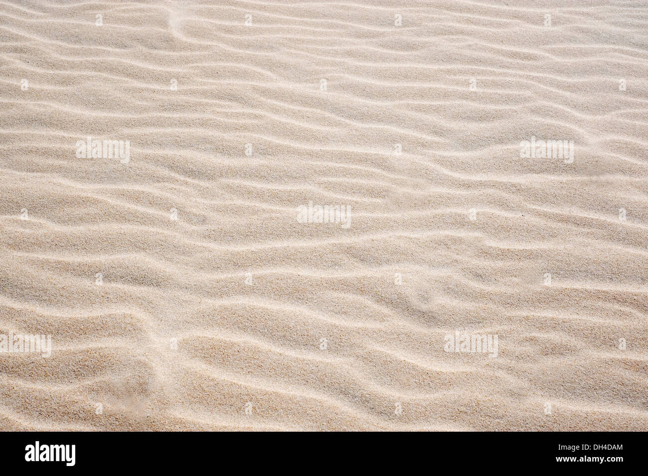Sand ripples in Chia beach in Sardinia Stock Photo