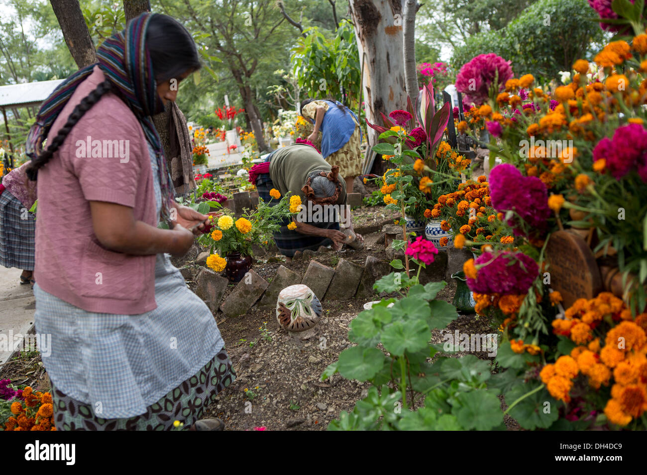 Elderly Zapotec indigenous women places flowers on the grave of family members at the start of the Day of the Dead festival known in spanish as D’a de Muertos October 30, 2013 in Teotitlan, Mexico. Stock Photo
