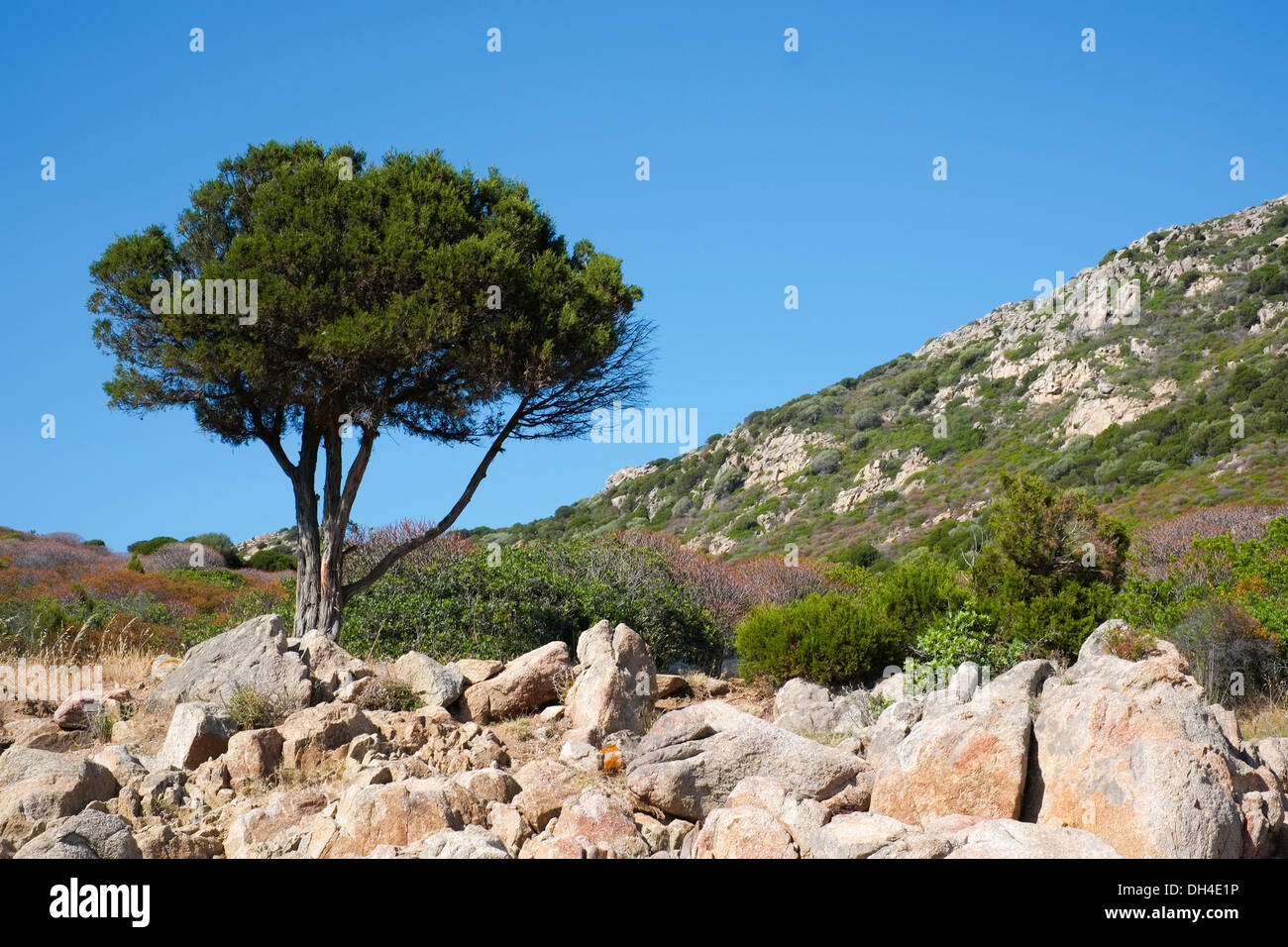 Landscape close to Capo Spartivento, Sardinia, Italy Stock Photo