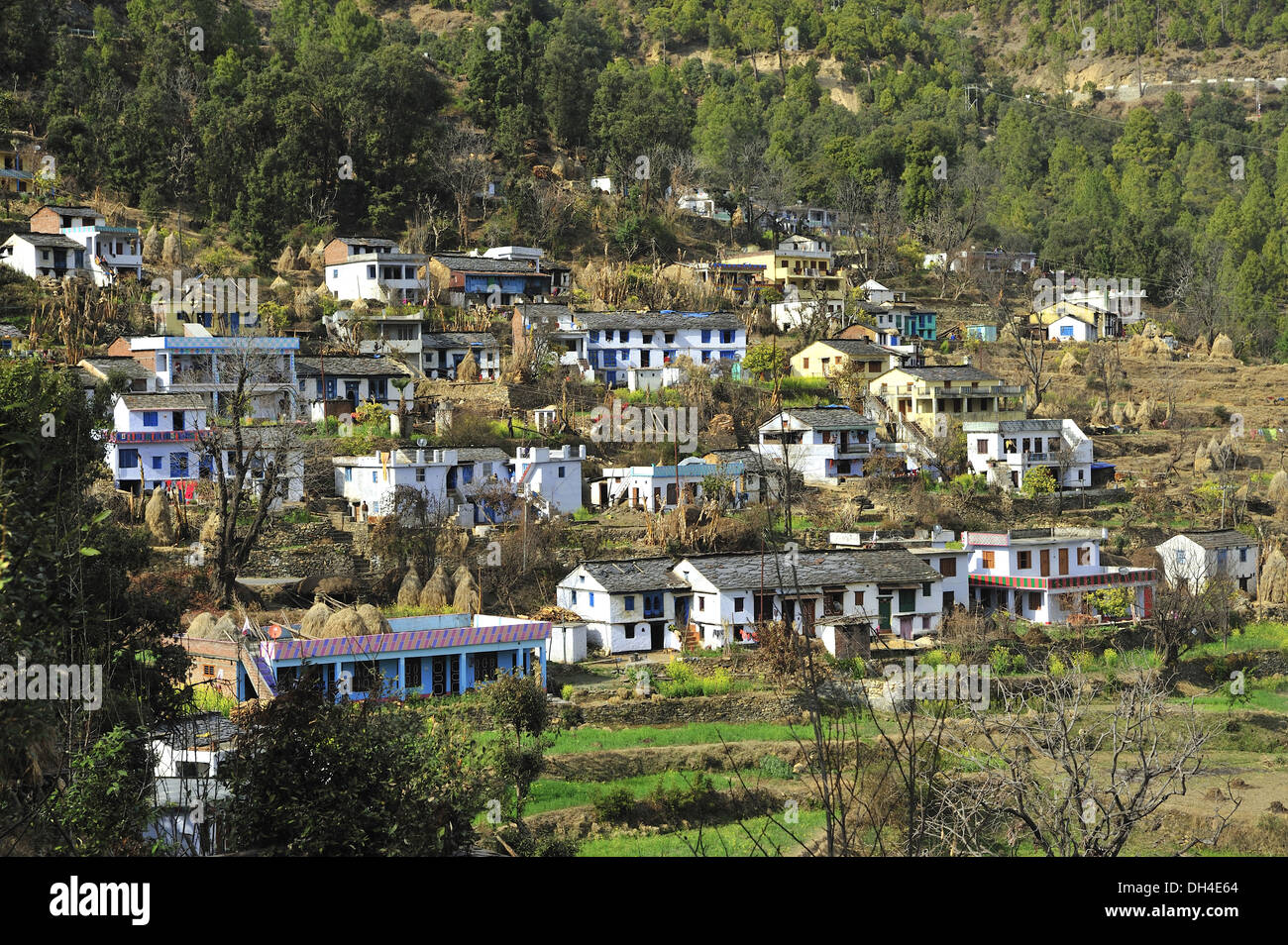 Village houses, Bijuriya, Bageshwar, Uttarakhand, India, Asia Stock Photo