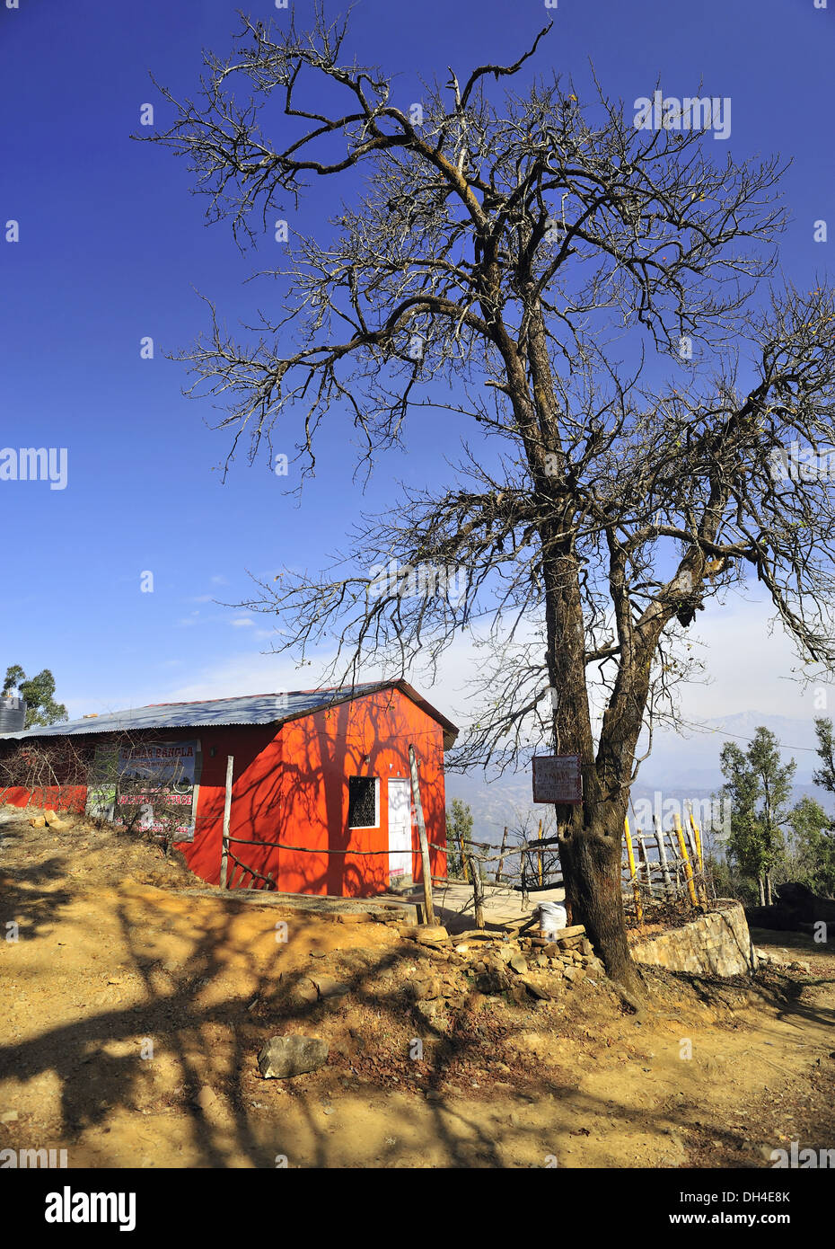 House and leafless tree at chaukori pithoragarh uttarakhand India Asia