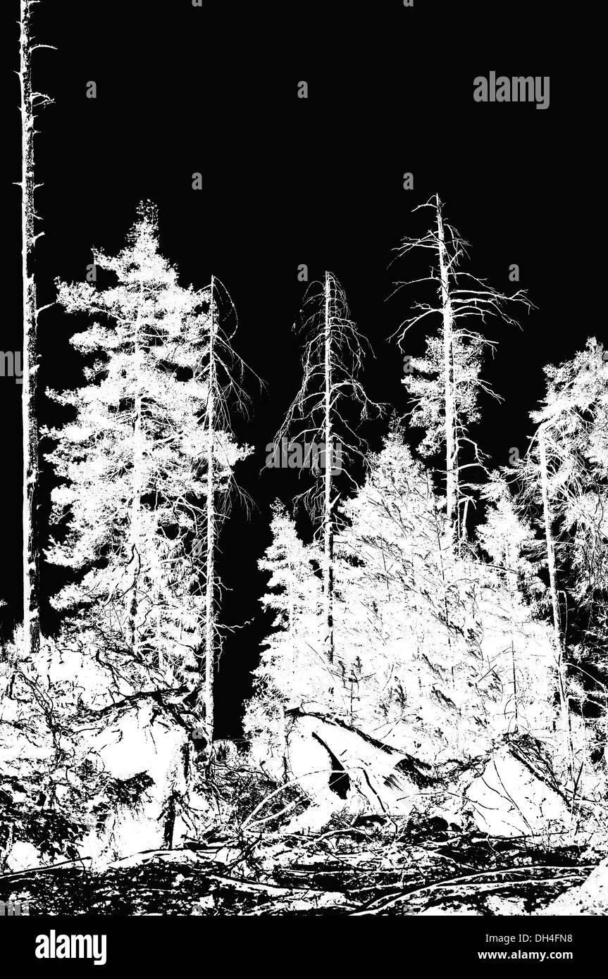 Conservation Black and White Stock Photos & Images - Alamy
