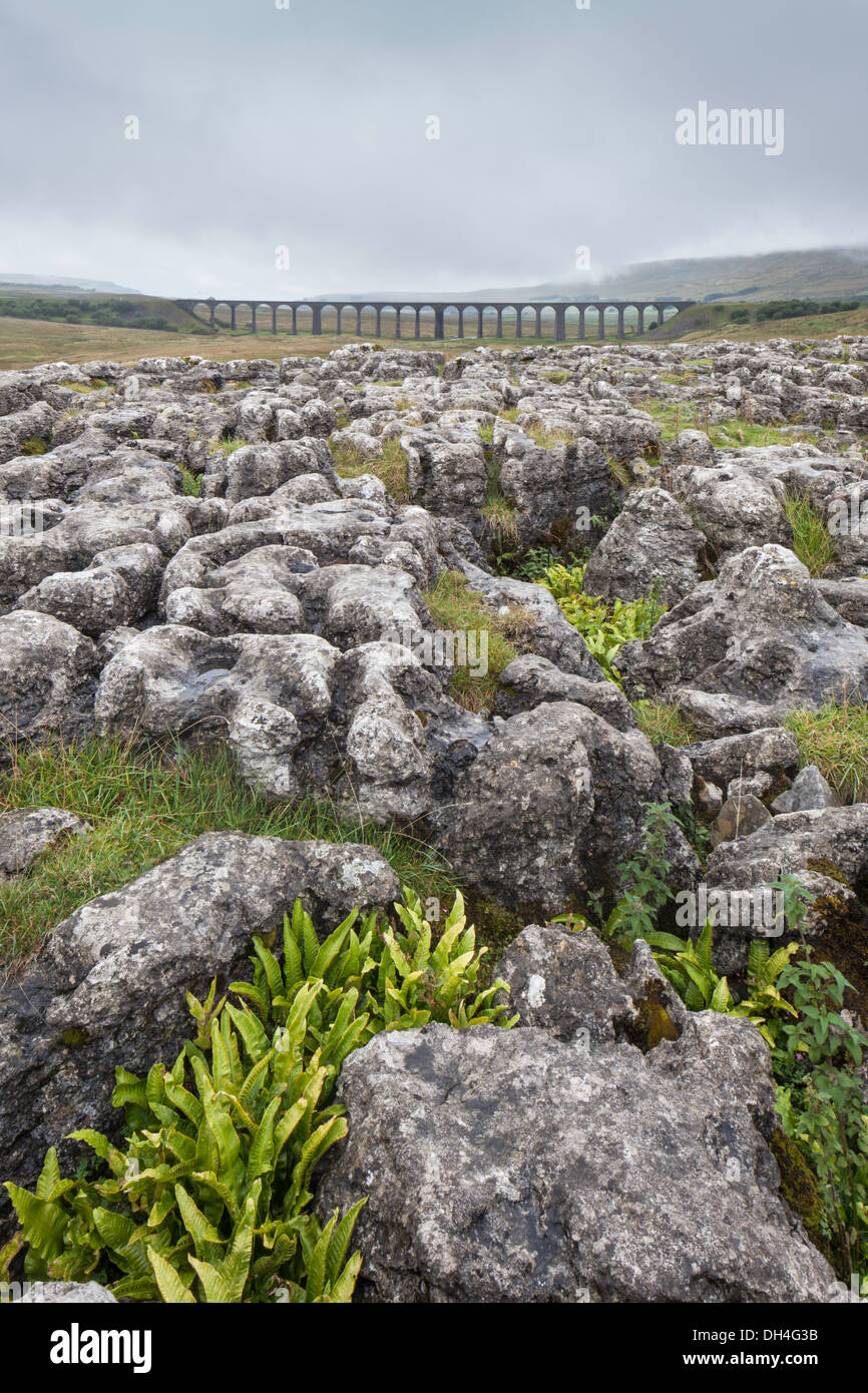 Looking across Limestone Pavements to the Ribblehead Viaduct on the Settle to Carlisle Railway, North Yorkshire, England, UK Stock Photo