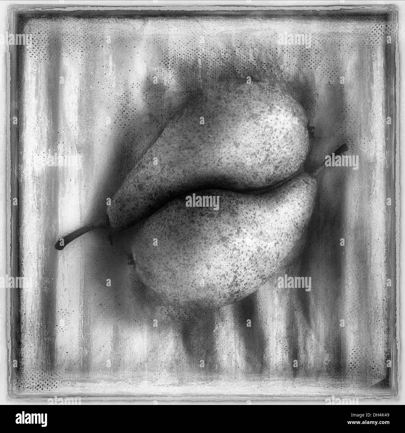 Pear Pyrus communis. Digitally manipulated black and white image of two pears placed together within frame on textured Stock Photo