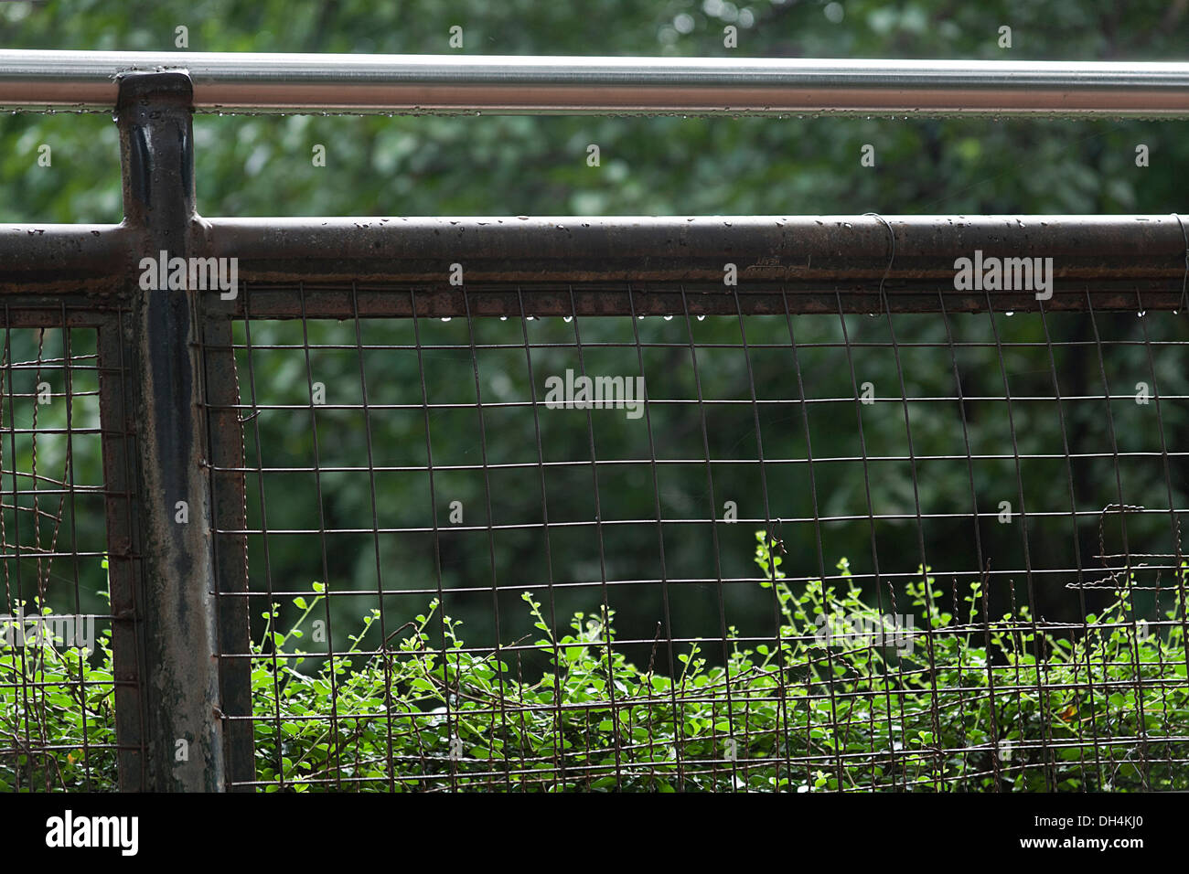 Fence at Veermata Jijabai Bhosale Udyan Mumbai Maharashtra India Asia